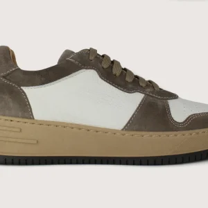 Sneakers Anubi