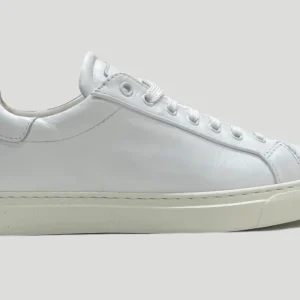 Suitsneakers Low
